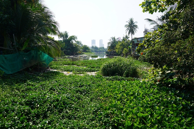 Khánh Hòa Deploys Heavy Machinery to Clear Flood‑Prone Rivers